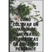 Cómo cultivar un jardín de hierbas aromáticas en espacios pequeños