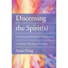 Discerning the Spirit(s)