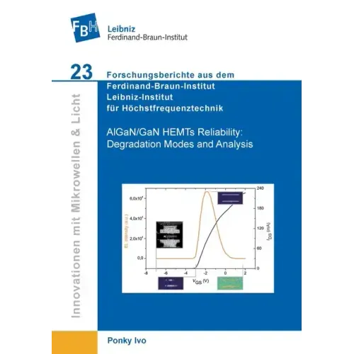 AlGaN/GaN HEMTs Reliability. Degradation Modes and Analysis