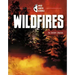 Wildfires