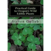 Practical Guide to Oregon's Wild Edible Plants: A Survival Guide