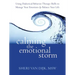 Calming the Emotional Storm: Using Dialectical Behavior Therapy Skills to Manage Your Emotions and Balance Your Life