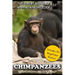 Chimpanzees: The Smartest Primates on the Planet (includes 20+ magnificent photos!)