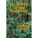 No Flowers in the Rainforest