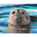 Meet Me at the Salish Sea