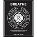 Brahma Shakti Vinyasa Yoga. A sustainable practice for life. Born from Ashtanga