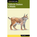California Seashore & Wildlife