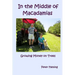 In the Middle of Macadamias: Growing Money on Trees
