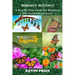 Monarch Butterfly: A Step-by-Step Guide for Beginners (My Garden Experience)