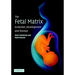 The Fetal Matrix - Evol Dev Disease