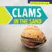 Clams in the Sand