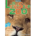 More Life-Size Zoo: Lion, Hippopotamus, Polar Bear and More--An All New Actual-Size Animal Encyclopedia