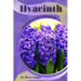 Hyacinth: Plant overview and guide