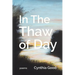 In The Thaw of Day