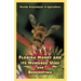 Florida Honey and its Hundred Uses and Beekeeping