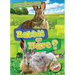 Rabbit or Hare?