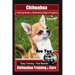 Chihuahua Training Book for Chihuahua Dogs & Puppies By BoneUP DOG Training,: Are You Ready to Bone Up? Easy Training * Fast Results, Chihuahua Traini