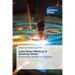Laser Beam Welding of Stainless Steels