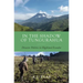 In the Shadow of Tungurahua: Disaster Politics in Highland Ecuador