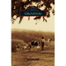 Groveton