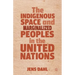 The Indigenous Space and Marginalized Peoples in the United Nations