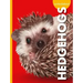 Curious about Hedgehogs
