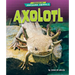 Axolotl