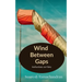 Wind Between Gaps: Reflections on Films