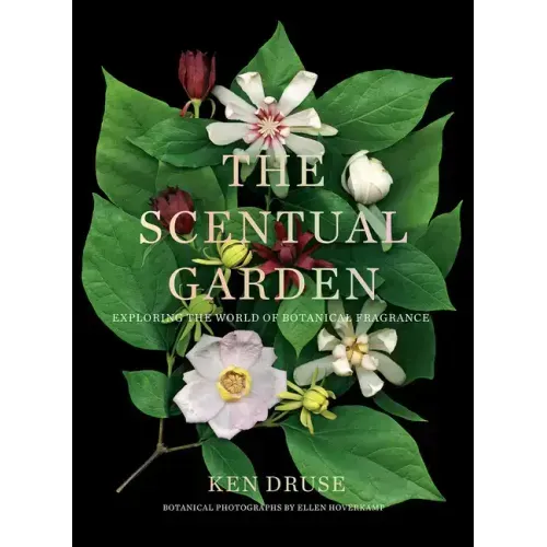 The Scentual Garden: Exploring the World of Botanical Fragrance