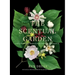 The Scentual Garden: Exploring the World of Botanical Fragrance