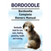 Bordoodle. Bordoodle Complete Owners Manual. Bordoodle book for care, costs, feeding, grooming, health and training.