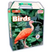 Online Discovery Birds