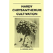 Hardy Chrysanthemum Cultivation
