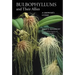 Bulbophyllums and Their Allies