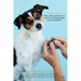Dog reflexology and acupressure for owners