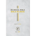 Bilingual Bible / Biblia Bilingue NLT/Ntv