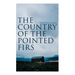 The Country of the Pointed Firs: Tale of a Small-Town Life