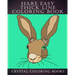 Hare Easy Thick Line Coloring Book: 30 Simple Line Drawing Outlines Of Hares Drawn With Thicker Lines.
