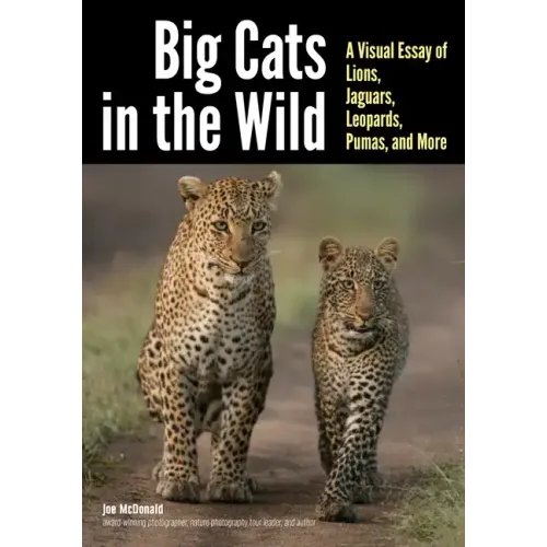 Big Cats in the Wild: A Visual Essay of Lions, Jaguars, Leopards, Pumas, and More