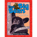 Those Big Bears