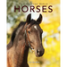 Horses: Amazing Pictures & Fun Facts on Animals in Nature