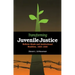 Transforming Juvenile Justice: Reform Ideals and Institutional Realities, 1825-1920