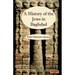The History of the Jews in Baghdad