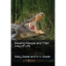 Swamp People and Their way of Life