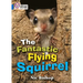 The Fantastic Flying Squirrel: Band 04/Blue