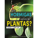 ¿Las Hormigas Son Como Las Plantas?: Are Ants Like Plants?