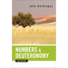 Numbers and Deuteronomy for Everyone