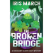 The Broken Bridge: A Succulent Sleuth Cozy Mystery