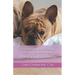 An Introduction to Social Cognitive Animal Training: The Evolution of Dog Training