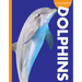 Curious about Dolphins